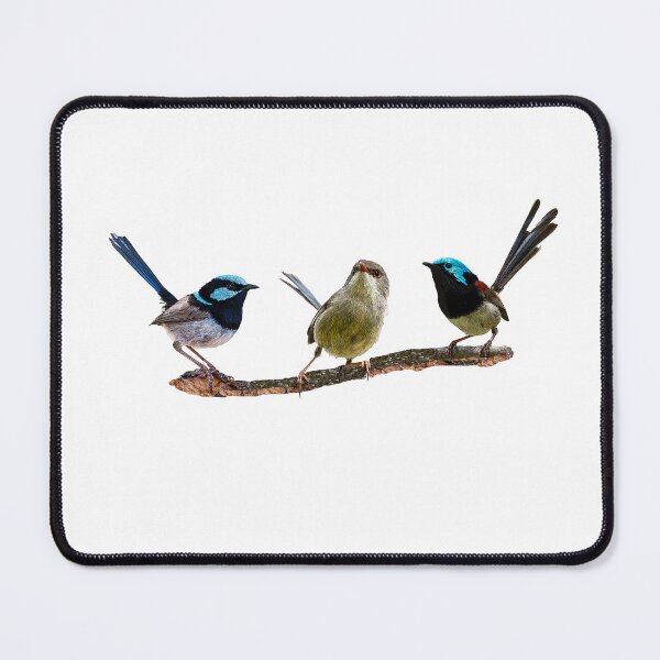 Item preview, Australia's beautiful fairy-wrens designed and sold by Ozjanette90.