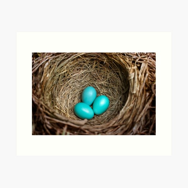Item preview, Birds Nest with Eggs designed and sold by Christina Rollo.