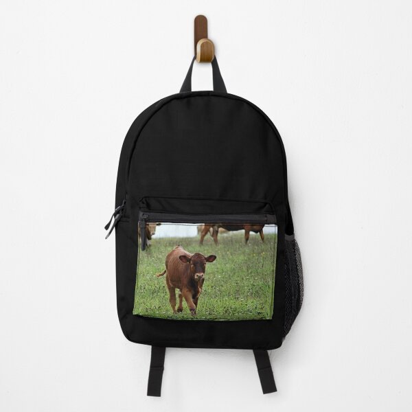 Item preview, Brown cow designed and sold by animal-animal.