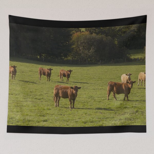 Item preview, Brown cow designed and sold by animal-animal.