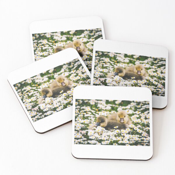 Item preview, Daisy Goslings  designed and sold by Mothboybrown.