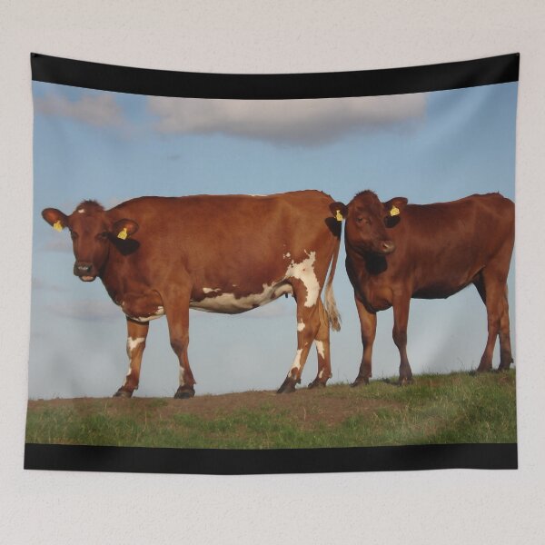 Item preview, Brown cow designed and sold by animal-animal.