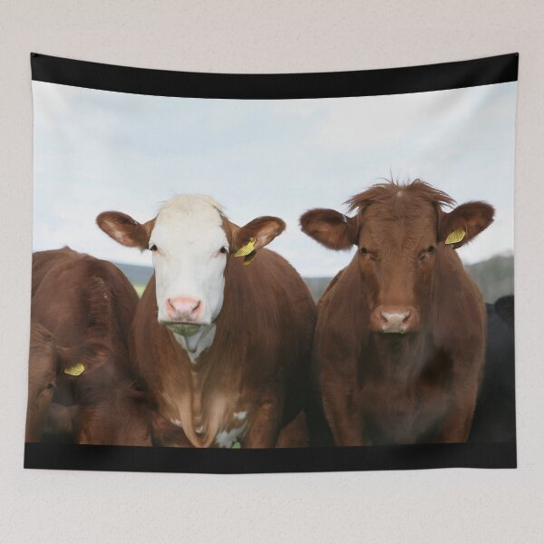 Item preview, Brown cow designed and sold by animal-animal.