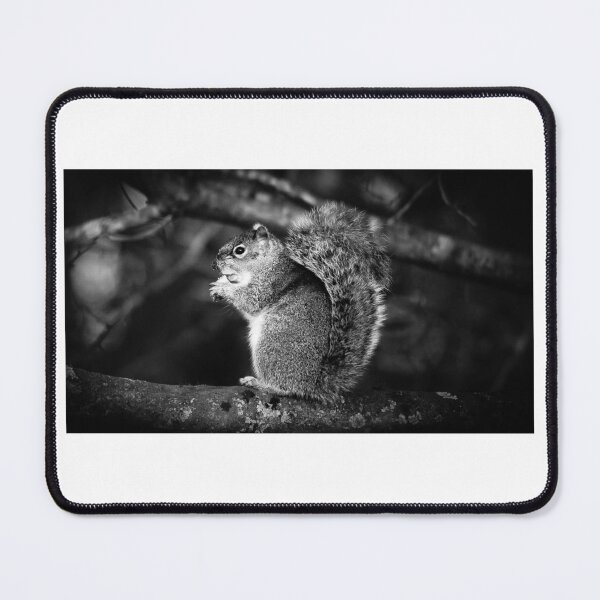 Item preview, Squirrel designed and sold by Mothboybrown.