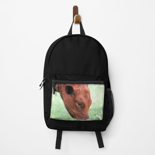 Item preview, Brown cow designed and sold by animal-animal.