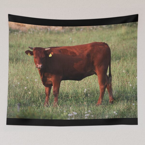 Item preview, Brown cow designed and sold by animal-animal.