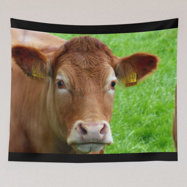 Item preview, Brown cow designed and sold by animal-animal.