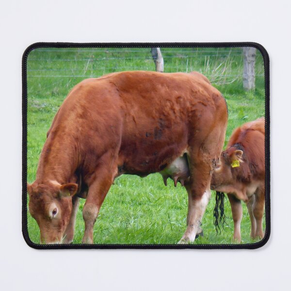 Item preview, Brown cow designed and sold by animal-animal.