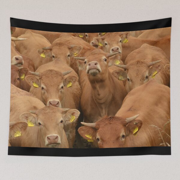 Item preview, Brown cow designed and sold by animal-animal.
