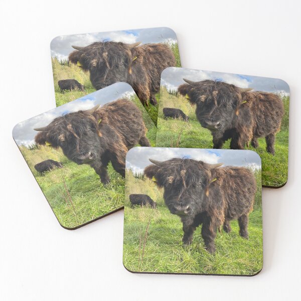 Item preview, Scottish Highland Cattle Calf 4582 designed and sold by SaarelaHighland.