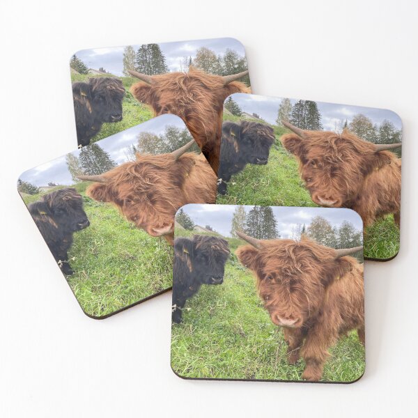 Item preview, Scottish Highland Cattle Calves 4583 designed and sold by SaarelaHighland.