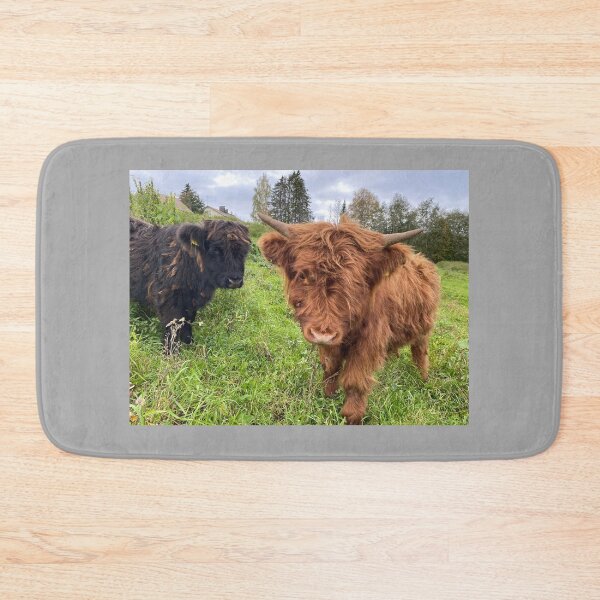 Item preview, Scottish Highland Cattle Calves 4583 designed and sold by SaarelaHighland.