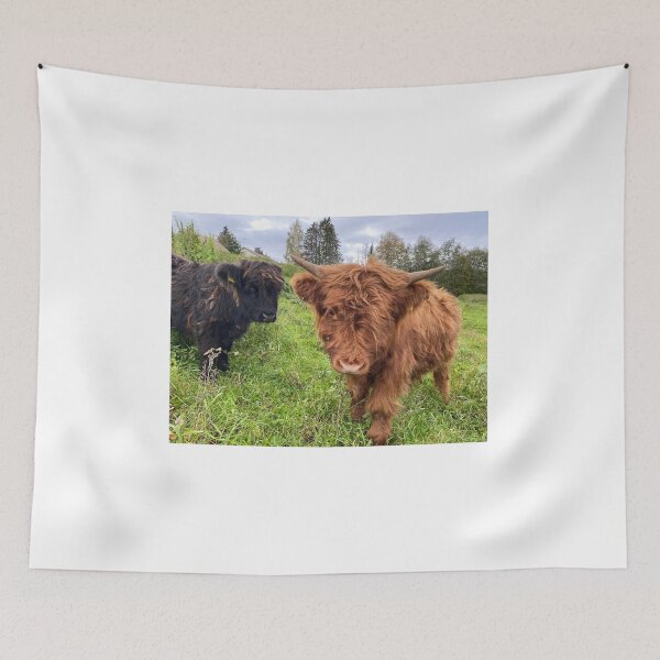 Item preview, Scottish Highland Cattle Calves 4583 designed and sold by SaarelaHighland.