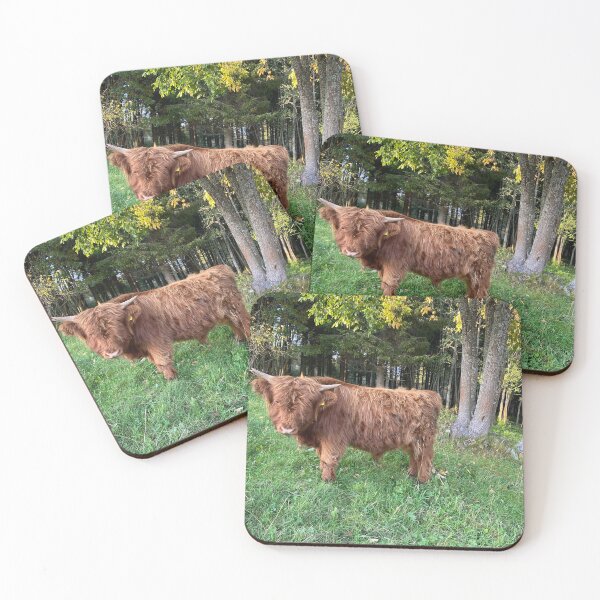 Item preview, Scottish Highland Cattle Calf 4585 designed and sold by SaarelaHighland.