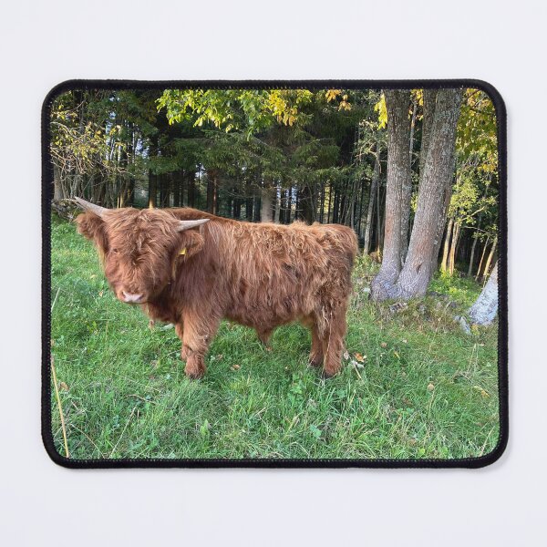 Item preview, Scottish Highland Cattle Calf 4585 designed and sold by SaarelaHighland.