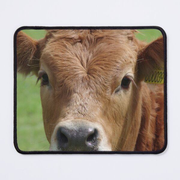 Artikelvorschau, Braune Kuh entworfen und verkauft von animal-animal.