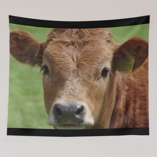 Item preview, Brown cow designed and sold by animal-animal.