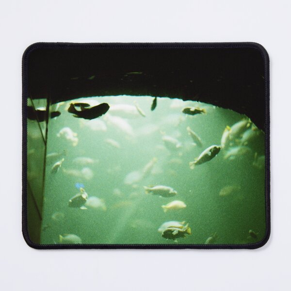 Item preview, fish house designed and sold by Terkapio.