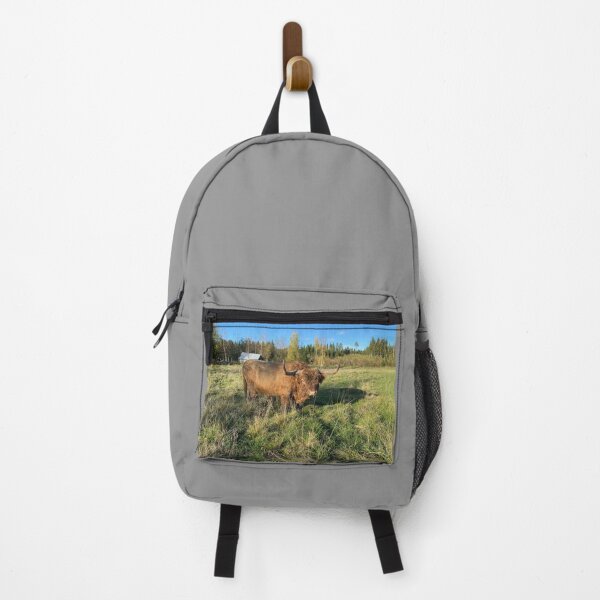 Item preview, Scottish Highland Cattle Bull 4596 designed and sold by SaarelaHighland.