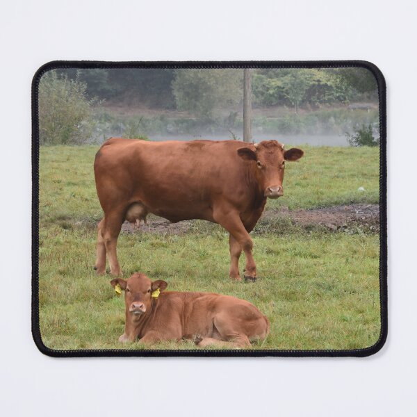 Item preview, Brown cow designed and sold by animal-animal.