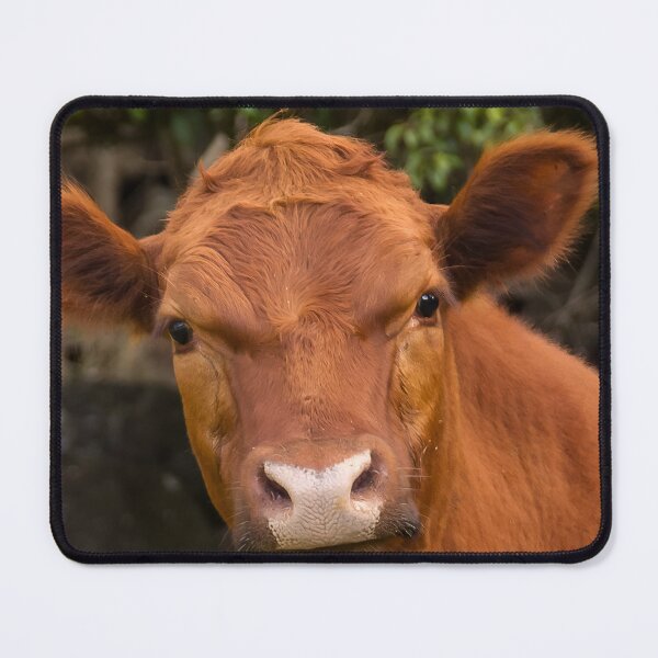 Item preview, Brown cow designed and sold by animal-animal.