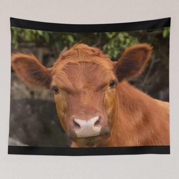 Item preview, Brown cow designed and sold by animal-animal.
