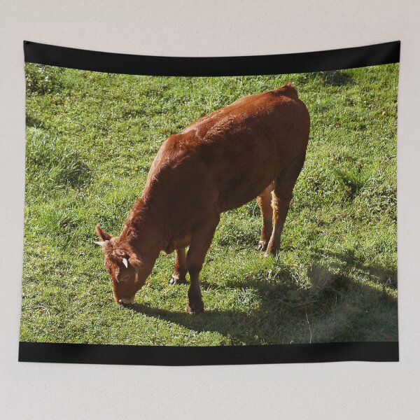 Item preview, Brown cow designed and sold by animal-animal.