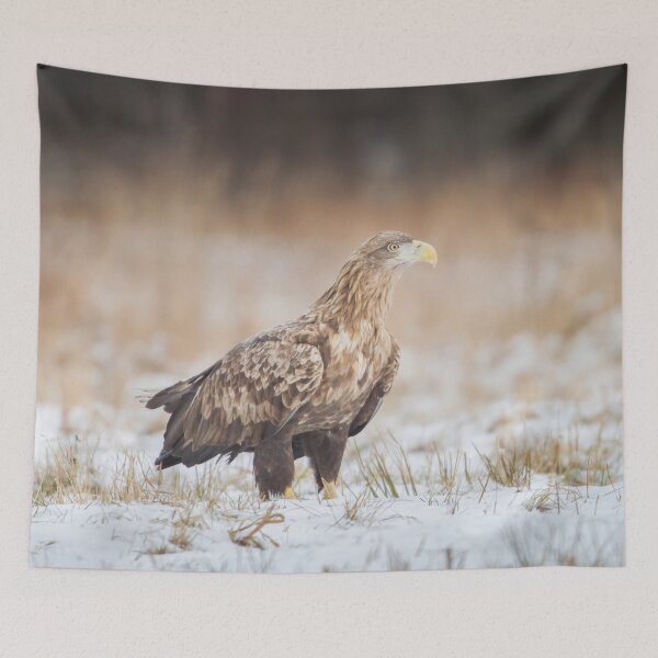 Item preview, Adult White-Tailed Eagle designed and sold by Dominika Aniola.