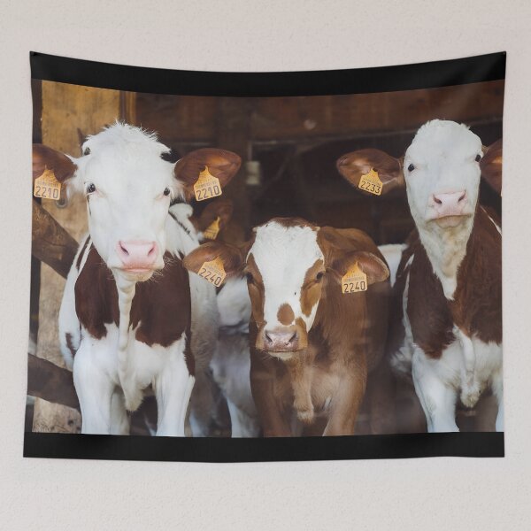 Item preview, Brown cow designed and sold by animal-animal.