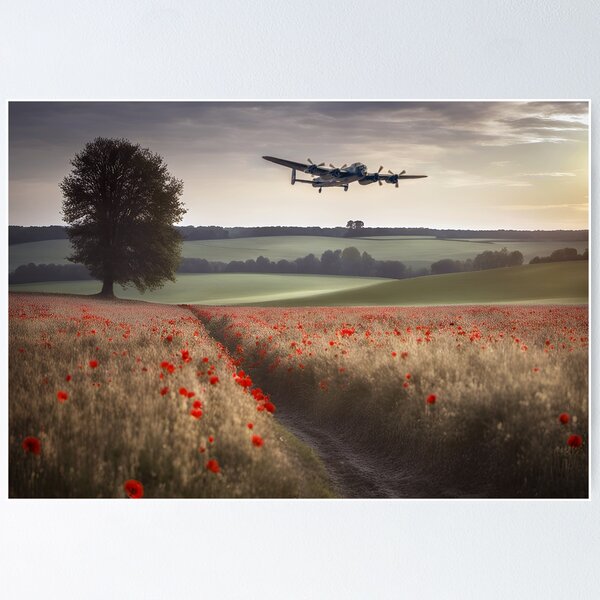 Poppy Plane Wall Art for Sale