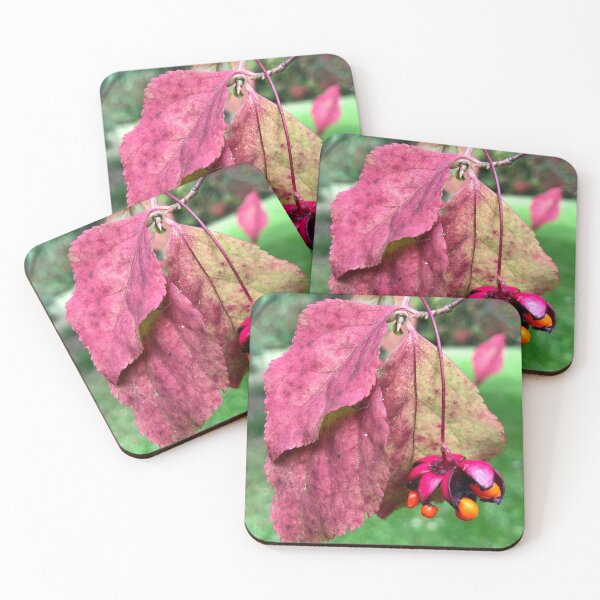 Item preview, Westonbirt Arboretum Autumnal leaves-Natures latest show ! designed and sold by Angela Haig-Harrison.