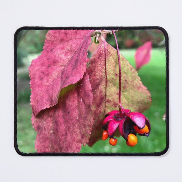 Item preview, Westonbirt Arboretum Autumnal leaves-Natures latest show ! designed and sold by Angela Haig-Harrison.