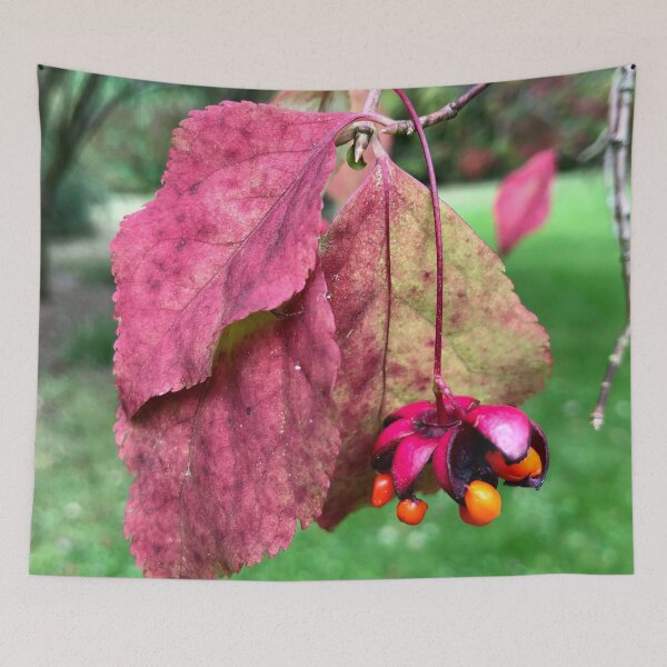 Item preview, Westonbirt Arboretum Autumnal leaves-Natures latest show ! designed and sold by Angela Haig-Harrison.