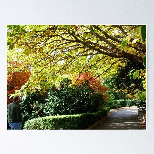 Item preview, Fall/Autumn Colours in Oz designed and sold by Ozjanette90.