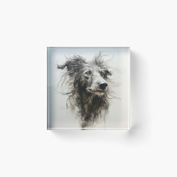 Item preview, Charcoal drawing of a lucher designed and sold by aghnadarragh.