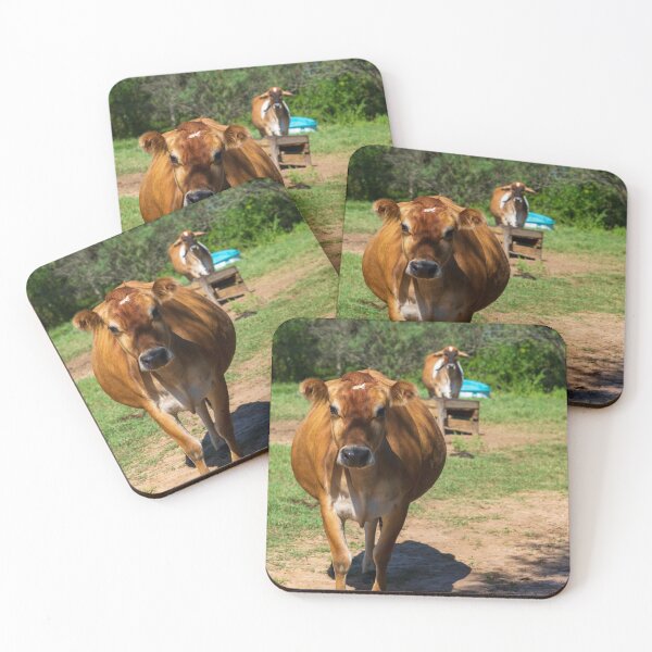 Item preview, How Now Brown cow designed and sold by noblephoto.