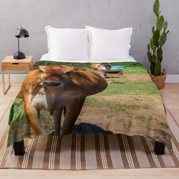 Item preview, How Now Brown cow designed and sold by noblephoto.