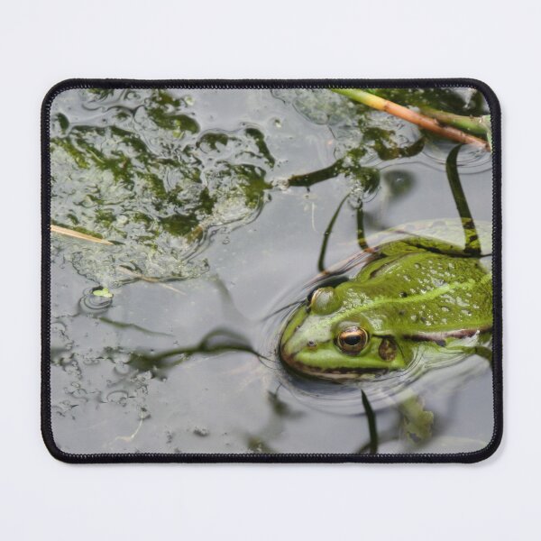 Item preview, Frog designed and sold by Calidris Fotografie Steffi & Ben Köppler.
