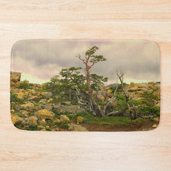 Item preview, A natural Patagonian bonsai designed and sold by stevepaint.