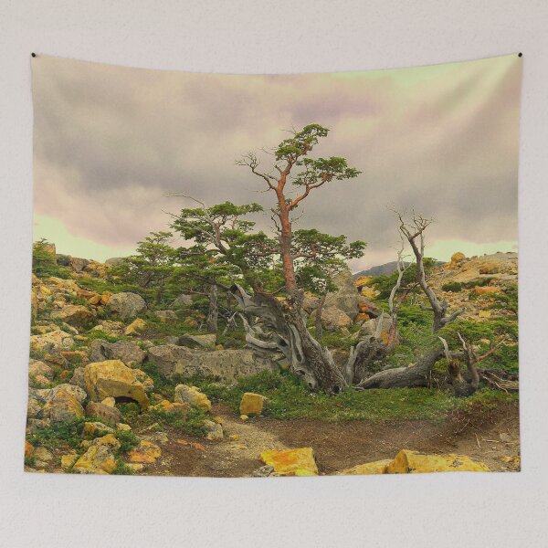 Item preview, A natural Patagonian bonsai designed and sold by stevepaint.