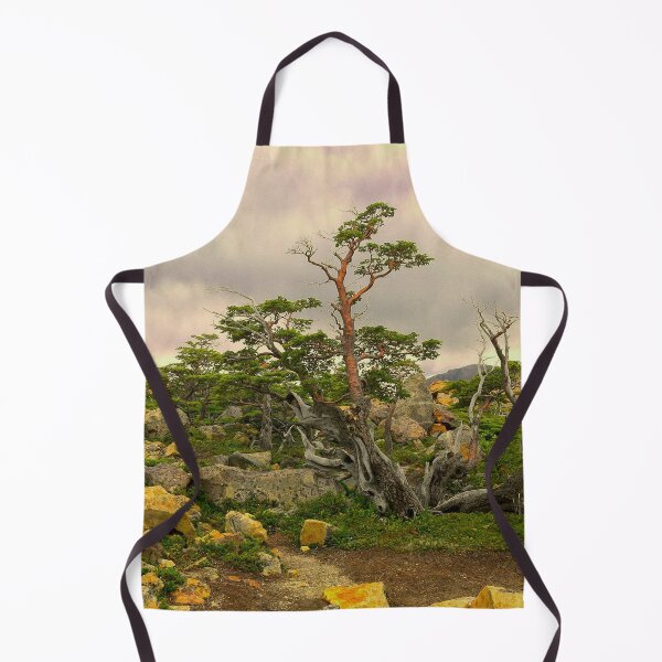 Item preview, A natural Patagonian bonsai designed and sold by stevepaint.