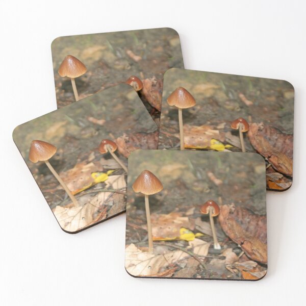 Item preview, Umbrella designed and sold by Calidris Fotografie Steffi & Ben Köppler.