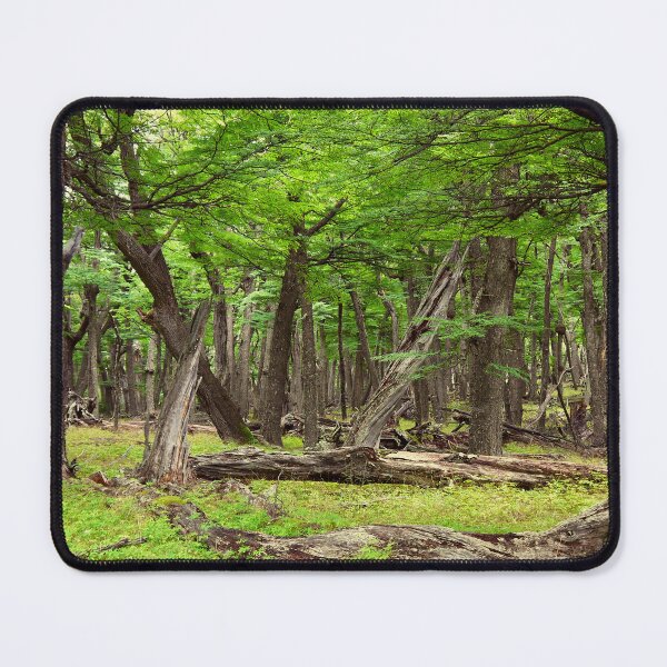 Item preview, Silence in a timeless forrest designed and sold by stevepaint.