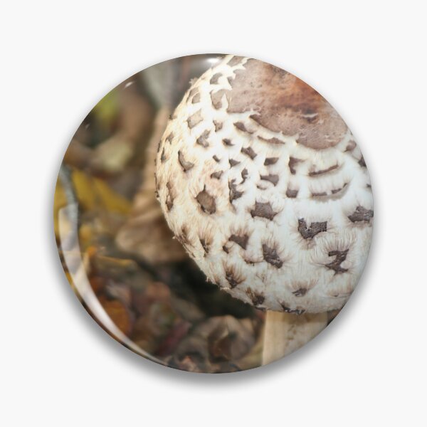 Item preview, Mushroom designed and sold by Calidris Fotografie Steffi & Ben Köppler.