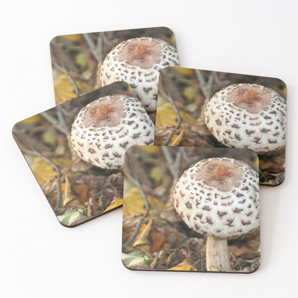 Item preview, Mushroom designed and sold by Calidris Fotografie Steffi & Ben Köppler.