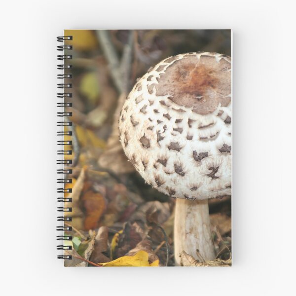 Item preview, Mushroom designed and sold by Calidris Fotografie Steffi & Ben Köppler.