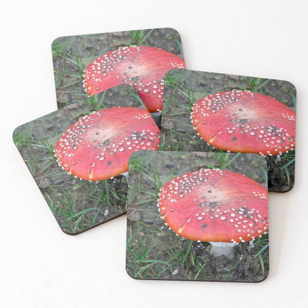 Item preview, Beautiful poison designed and sold by Calidris Fotografie Steffi & Ben Köppler.