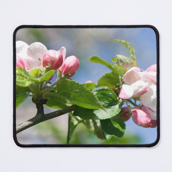 Item preview, Apple Tree Blossom designed and sold by Calidris Fotografie Steffi & Ben Köppler.