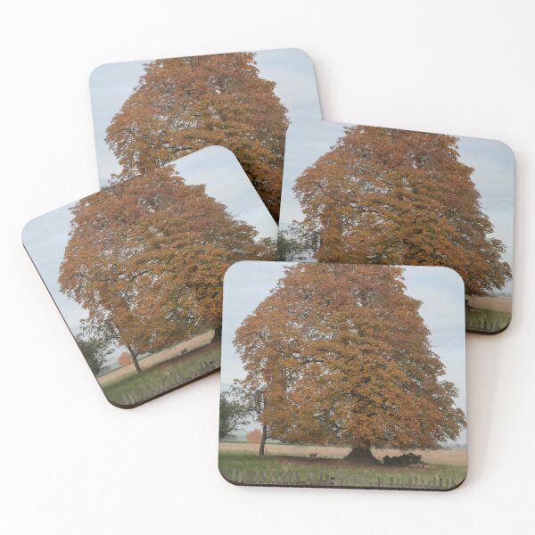 Item preview, Chestnut Tree designed and sold by Calidris Fotografie Steffi & Ben Köppler.