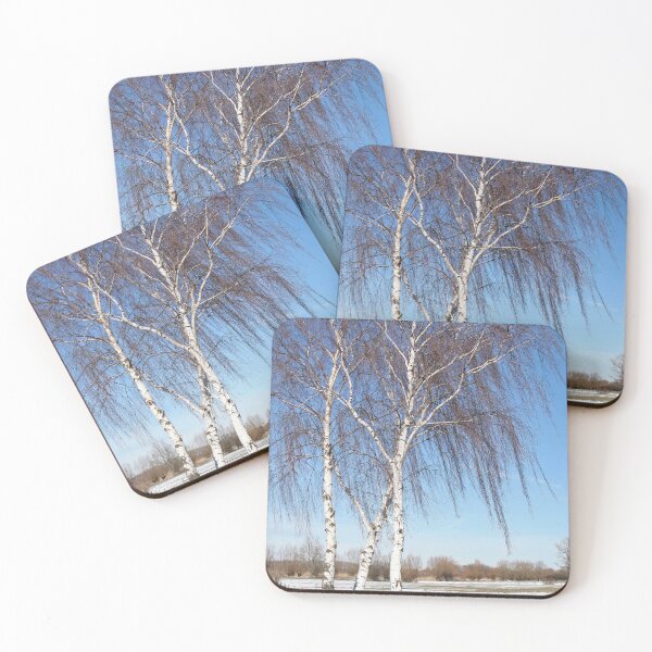 Item preview, Birch Trees designed and sold by Calidris Fotografie Steffi & Ben Köppler.